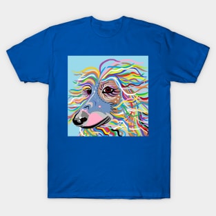 Colorful Afghan Hound T-Shirt